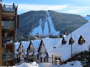 Studio Čertovka U jelena by Interhome, Harrachov
